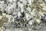 Gleaming Pyrite and Sphalerite (Marmatite) on Quartz - Peru #238942-3